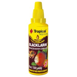 Tropical Blacklarin