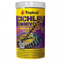 Tropical Cichlid Omnivore