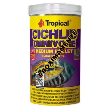 Tropical Cichlid Omnivore