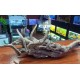 Raíz De Azalea Driftwood Tronco Acuario Decoracion Delnonno