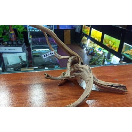 Raíz De Azalea Driftwood AZA-54 Tronco Acuario Decoracion Del Nonno