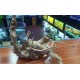 Raíz De Azalea Driftwood Tronco Acuario Decoracion Delnonno