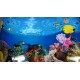 Lamina 40 cm Decoirativa Doble Faz Por Metro