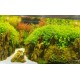 Lamina 40 cm Decoirativa Doble Faz Por Metro