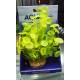 Planta Fluval PP-1721 Artificial