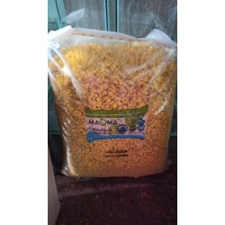 Piedras San Lorenzo Spiderman 500 g Souvenir Cactus Suculentas