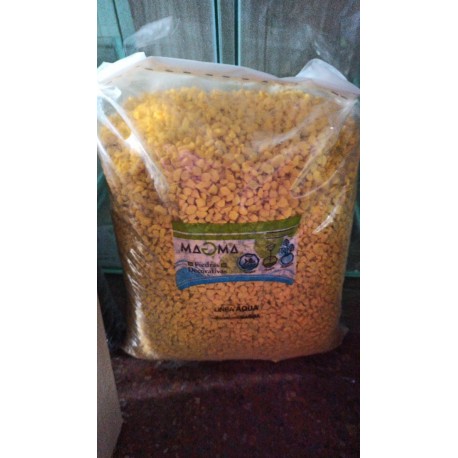 Piedras San Lorenzo Spiderman 500 g Souvenir Cactus Suculentas