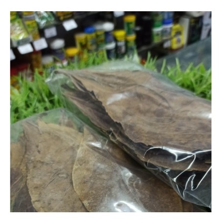 Alpha Pet Hojas De Almendro Indio  x 10