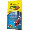 Tropical Koi Mixed 4000 G