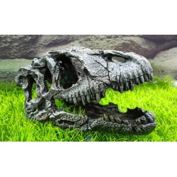 FRA-211 Cabeza Dinosaurio