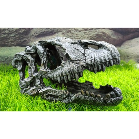 FRA-211 Cabeza Dinosaurio