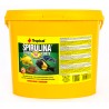 Tropical Spirulina 1000 g Flakes