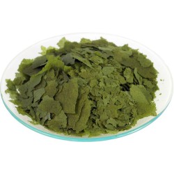 Shulet Alga Fraccionada 100 g