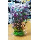 Planta Aquatic PLC-04