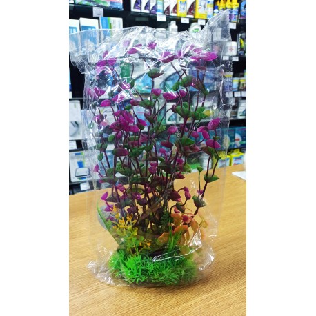 Planta Aquatic PLC-04