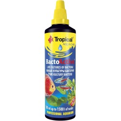Tropical Bacto Active 100 ml