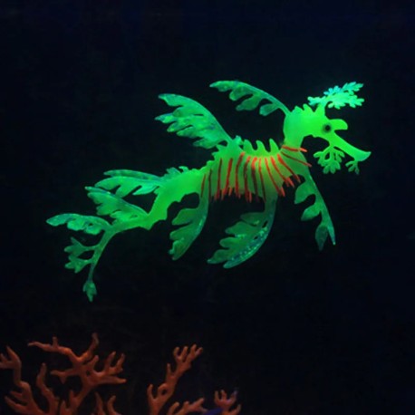AM-8 Pez Dragon de Mar Verde