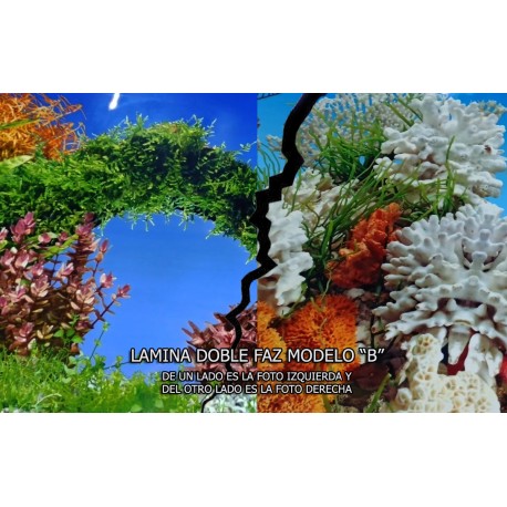 Lamina 40 cm Decorativa Por Metro