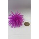 AM-6207 Anemona 1