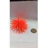 AM-6207 Anemona S Nro1 6cm