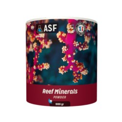 ASF Reef Mineral 1000 g