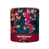 ASF Reef Mineral Powder1000 g