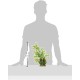 Planta Penn-Plax Espada Large
