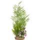 Planta Penn-Plax Espada Large