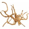 Raiz Spider Wood Nro 2