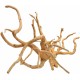 Raiz Spider Wood Nro 1
