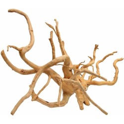 Raiz Spider Wood Nro 1