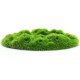 RR-3121 Moss Patch