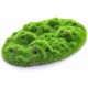 RR-3121 Moss Patch