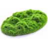 RR-3121 Aqua-Floras Moss Patch