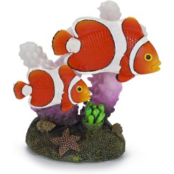 RR-1102 Pez Payaso con Coral