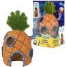 SBR-10 Casa Bob Aqua Flora