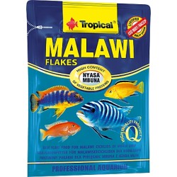 Tropical Malawi 12 g
