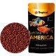 Tropical Soft America M 10 g
