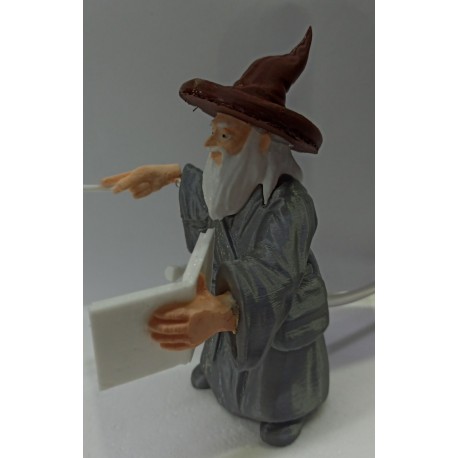 FRA-308 Brujo Harry Potter