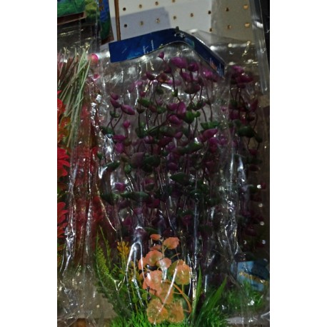 Planta Aquatic PLC-04