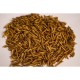 BSF Tenebros 500 g