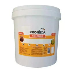 BSF Tenebros 500 g