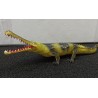 AM-51 Gavial Cocodrilo Indio Verde y Negro