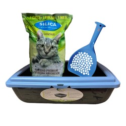 Litera Juliet + Palita Catit Celeste + Silica Lazycat