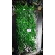 Planta Aqua Clean LP-085