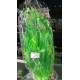 Planta Aqua Clean 6008