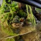 Acuario Exo Terra PT-2608 60-45-90