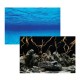 Lamina Sea View 3D 47,5 cm