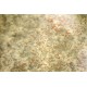 Artemia RN 500 g