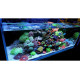 Iluminador Week Aqua Z-400 Pro Sea 120 w